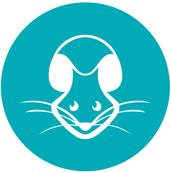 favicon-azul-labrat-10